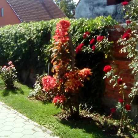 Apartman Peric Dakovo Exterior photo