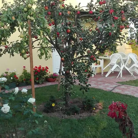 Apartman Peric Dakovo Exterior photo