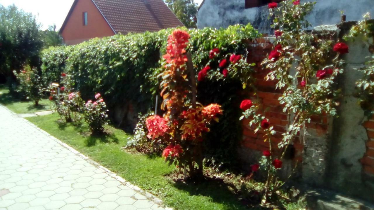 Peric Apartment