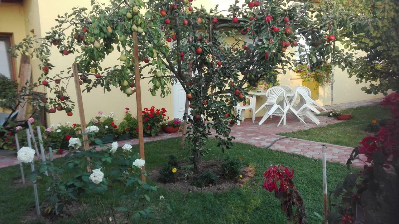Apartment Peric *